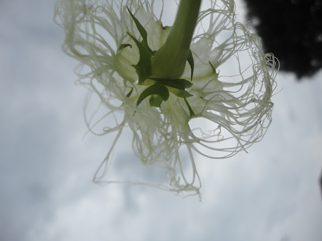 f0231709_18131246.jpg