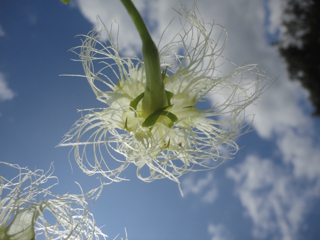 f0231709_18165973.jpg