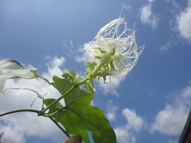 f0231709_18184150.jpg
