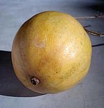f0231709_18202795.jpg
