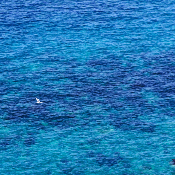 e0142611_15313211.jpg