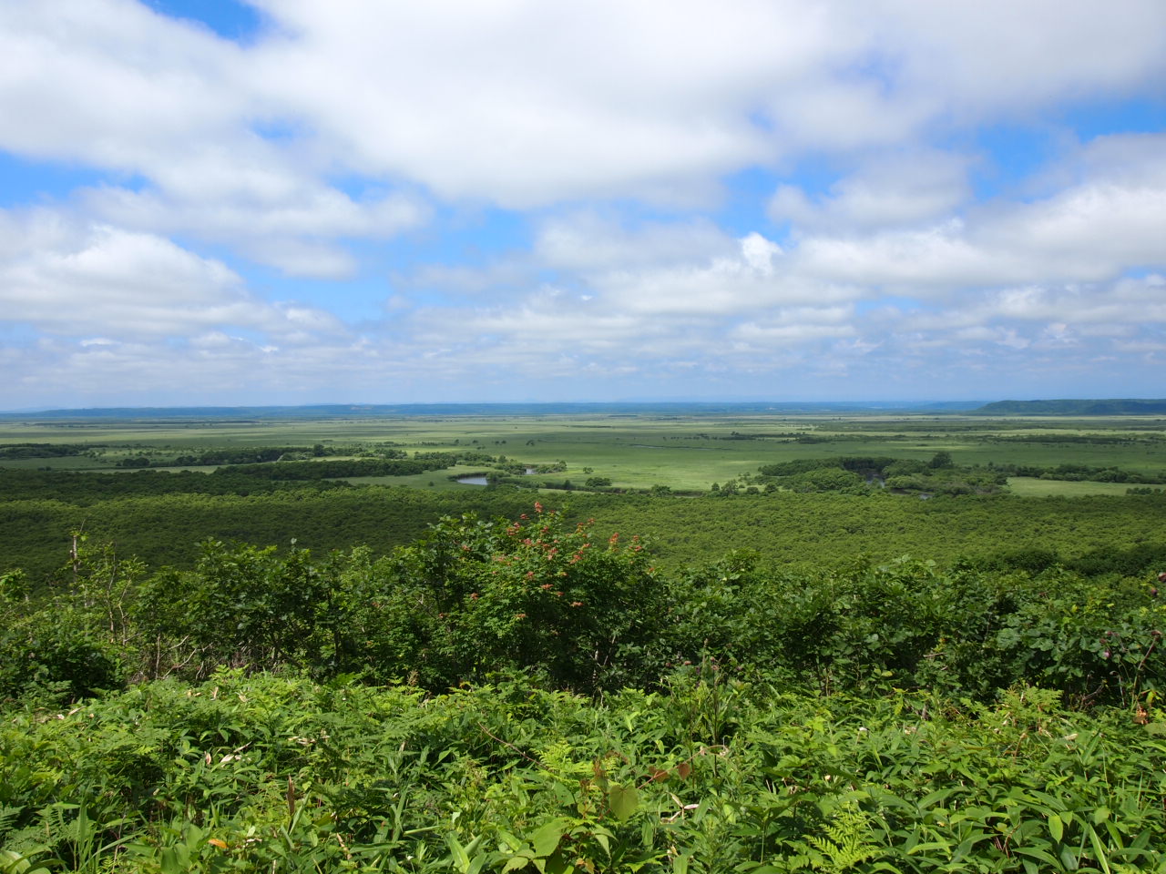 d0169613_714274.jpg