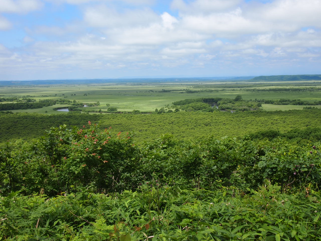 d0169613_7145684.jpg