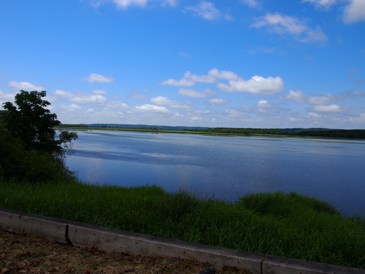 d0169613_71824100.jpg