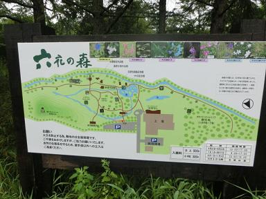 c0204121_21155627.jpg