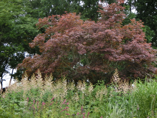 c0204121_221748100.jpg