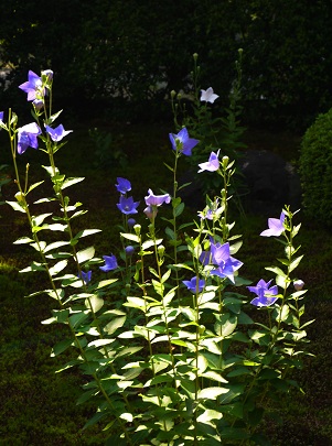 c0235725_163093.jpg