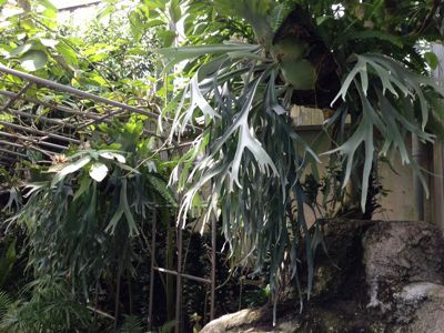 c0256325_20344066.jpg