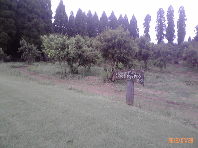 b0222530_1763987.jpg