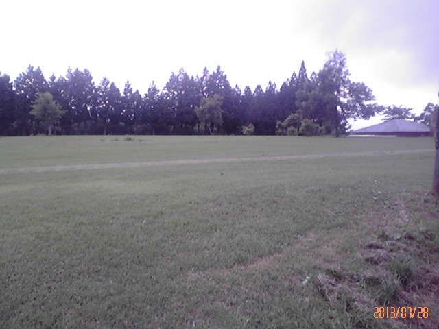 b0222530_1765180.jpg