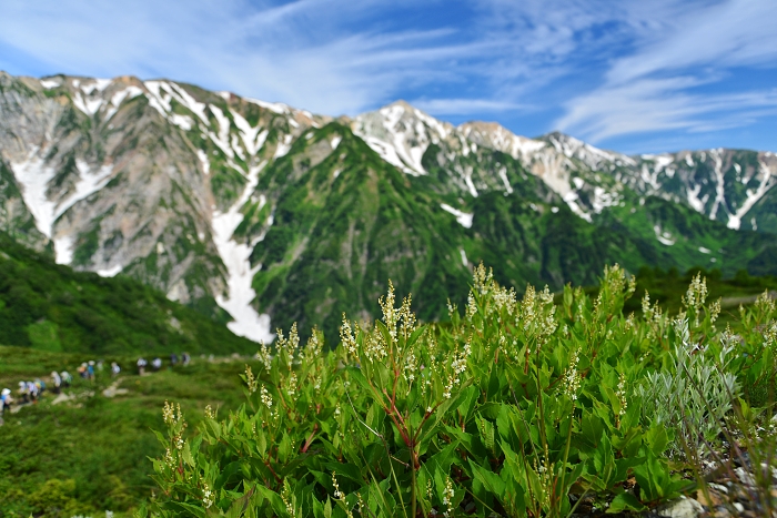 b0236334_21504231.jpg