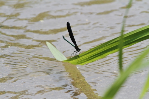 c0172139_813974.jpg