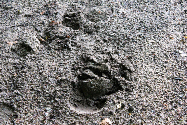 c0153740_16325476.jpg