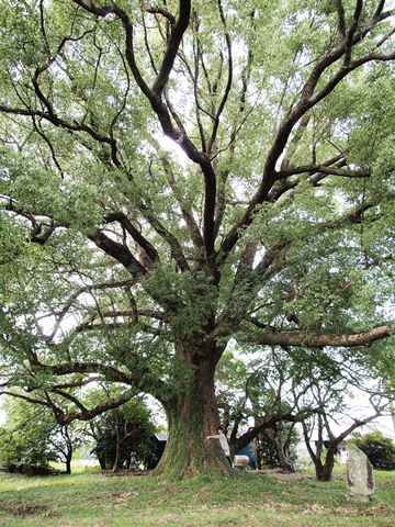 b0199742_23155875.jpg