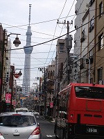 f0065542_21215967.jpg