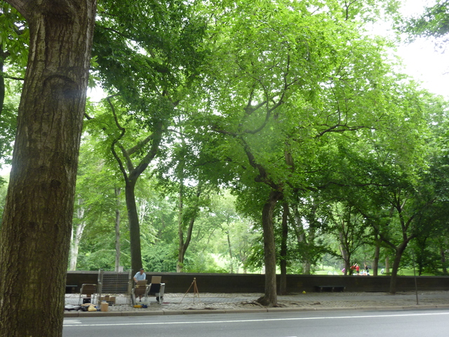 a0255343_1356169.jpg