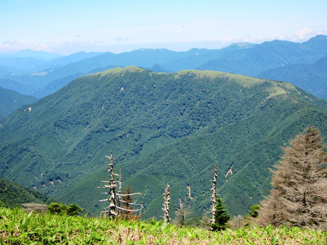 b0289649_210463.jpg