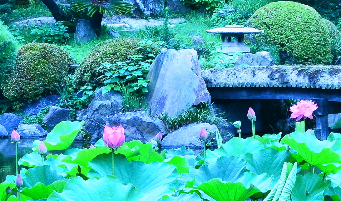 a0150260_16382236.jpg