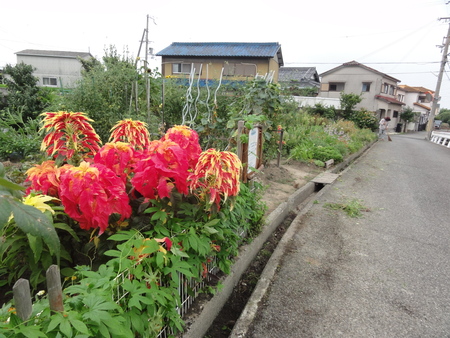 c0108460_16361262.jpg