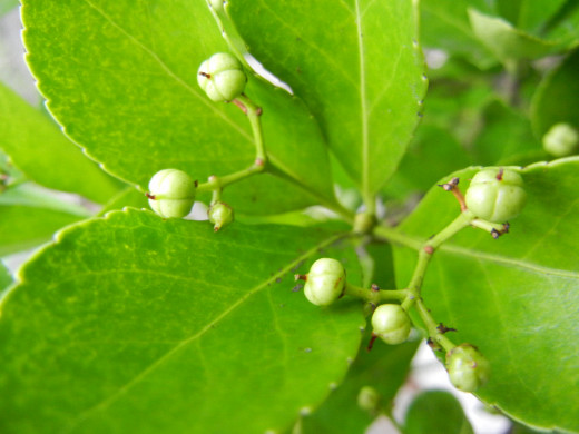 f0297861_00138.jpg