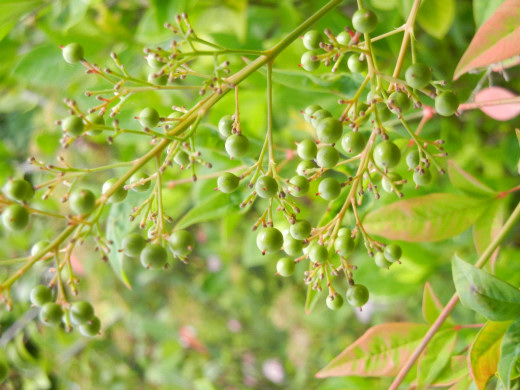 f0297861_001751.jpg