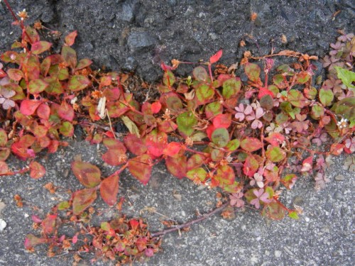 f0297861_21483421.jpg