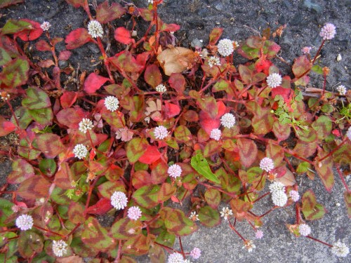 f0297861_21484473.jpg