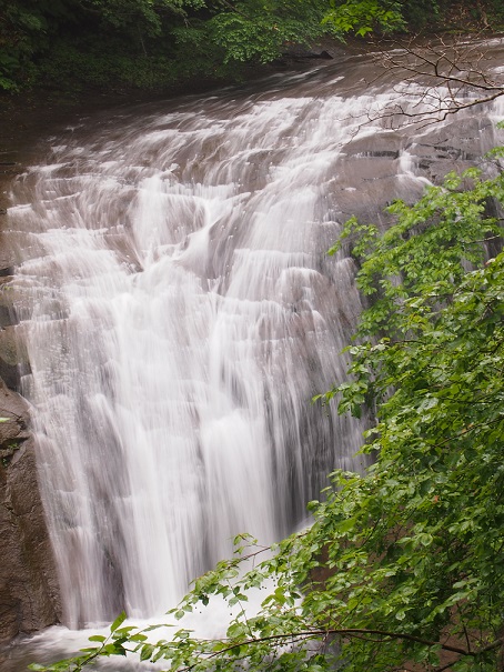 b0281366_1565872.jpg