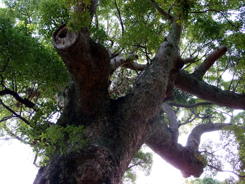 c0122670_23253664.jpg
