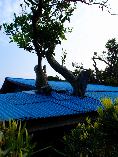 c0122670_23261064.jpg