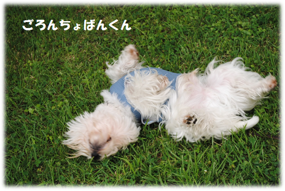 b0242873_22265586.png
