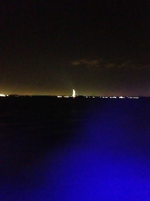f0056476_794653.jpg
