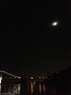 f0056476_936558.jpg