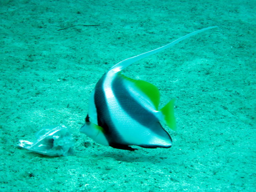 a0002177_16435861.jpg