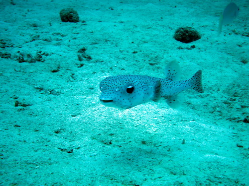 a0002177_1644440.jpg