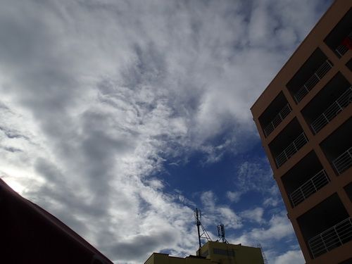 a0002177_1743197.jpg