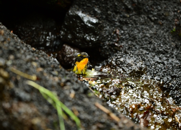d0157380_21594511.jpg