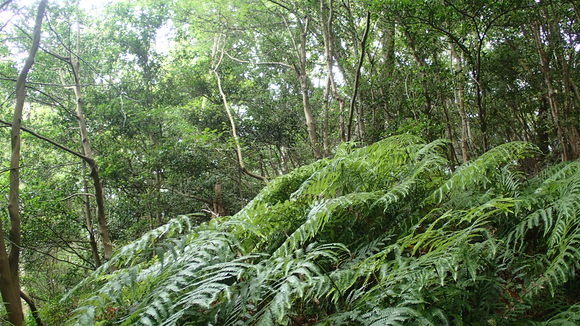 e0024081_1403048.jpg
