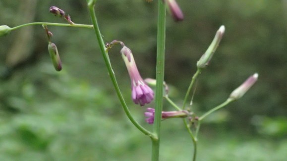 e0024081_1405248.jpg