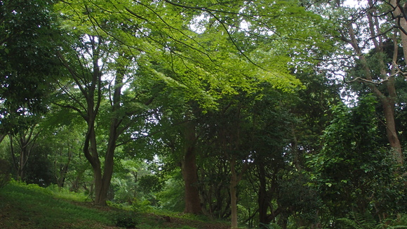 e0024081_14205216.jpg