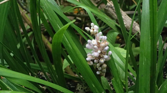 e0024081_1462316.jpg