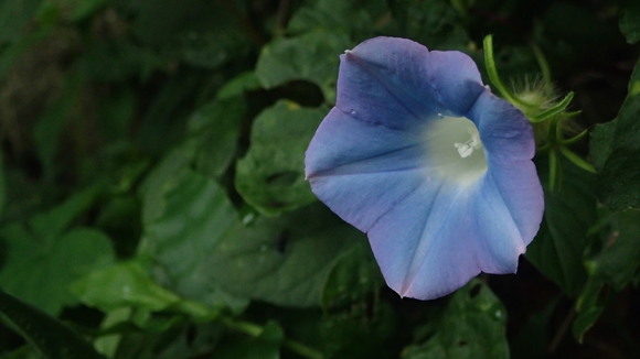 e0024081_1473898.jpg
