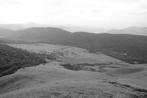 b0286982_10103695.jpg