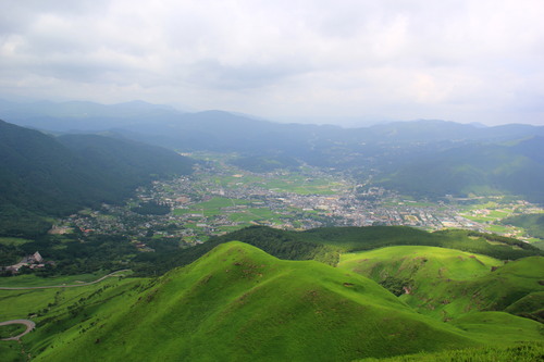 b0286982_1055726.jpg
