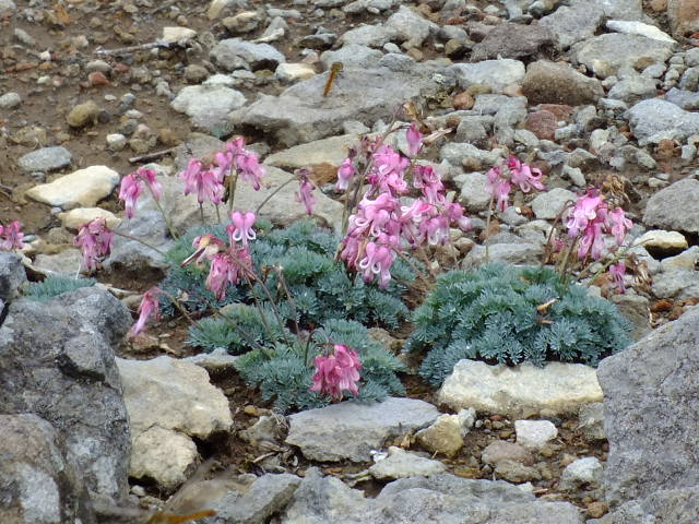 e0145782_10574764.jpg