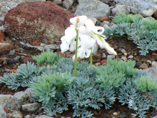 e0145782_105901.jpg