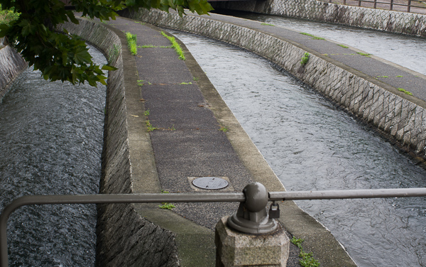 a0053783_1418177.jpg