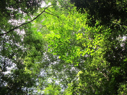 a0251786_10485818.jpg