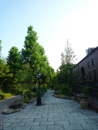e0194987_21125691.jpg