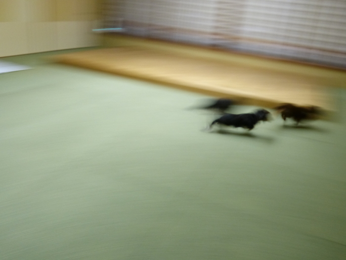 f0287487_1829197.jpg